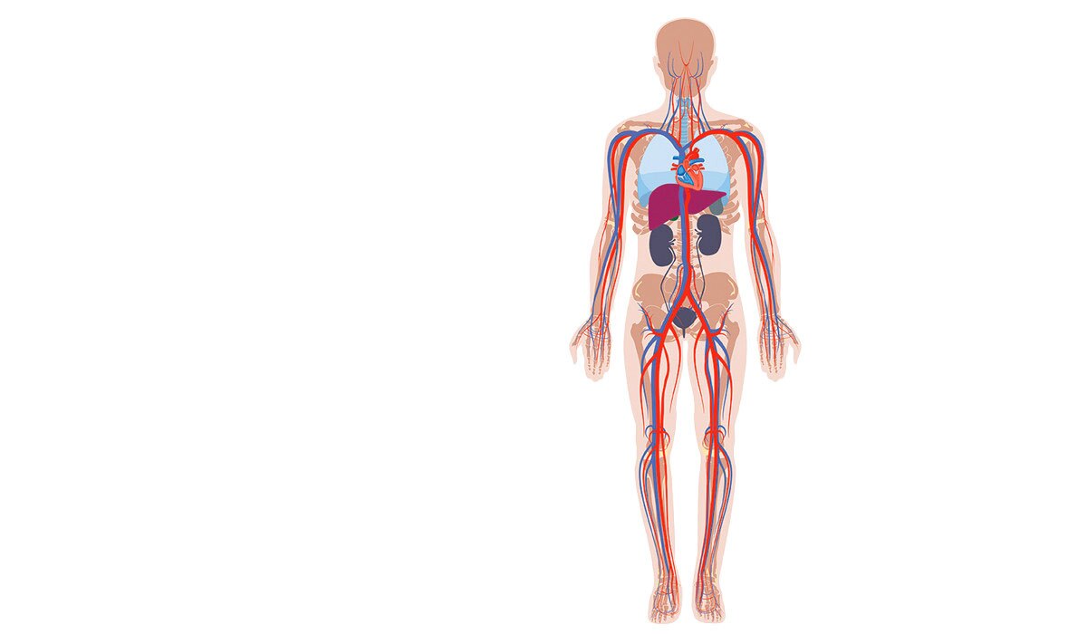 hotspot tours-vscan-gehc-vscan_skeleton_hotspot_spotlight_active.jpg