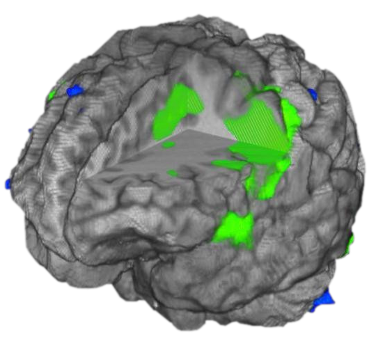 BrainWave