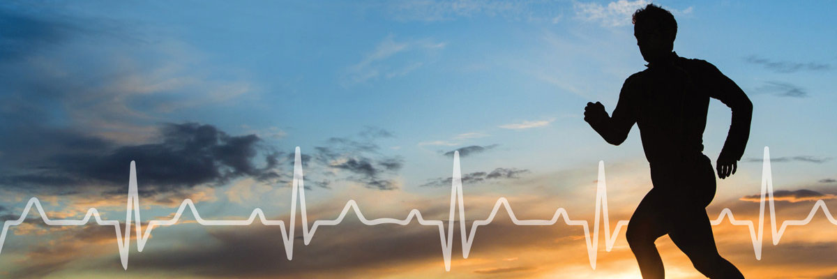 uk images-products-categories-diagnostic-cardiology-cardio update-cardioday runner.jpg